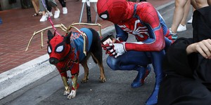 Comic-Con состоится, несмотря на коронавирус