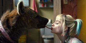 Постановщица «Хищных птиц» готовит фильм о чудо-вакцине