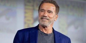 Netflix выпустит шпионский сериал со Шварценеггером