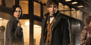 Третья часть "Фантастических тварей" получила дату релиза и название