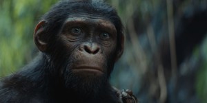 Фільм-Подія Року: Режисер розкриває таємниці довгоочікуваної стрічки "Королівство Планети Мавп"